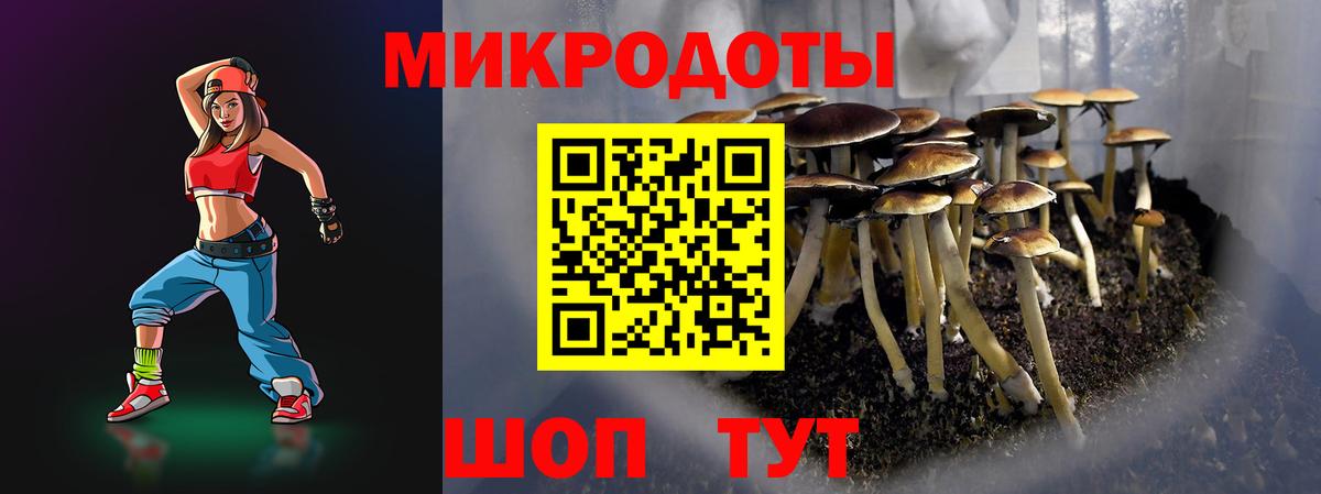 Галлюциногенные грибы Magic Shrooms  Галлюциногенные грибы Psilocybine cubensis  Пермь  Вход с VPN 